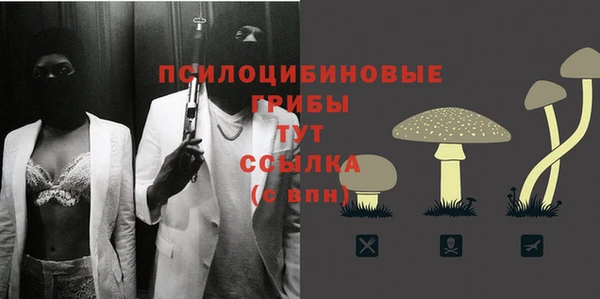 твердый Дмитровск