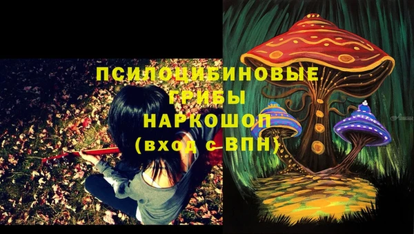 apvp Абинск